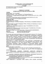 аудиторское заключение начало